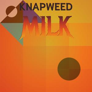 Knapweed Milk