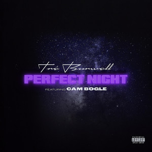 Perfect Night (Explicit)