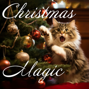 Christmas Magic