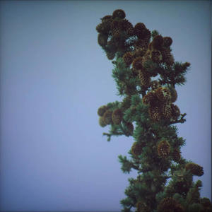 All the Colors (feat. janslammm)