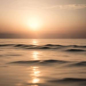 No regret (feat. Lone Avocado)