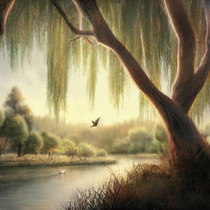 Farewell,Neverland-肉饼饼nia_&Lore芋嘻&Sleazybxxch