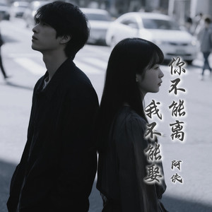 阿佚 - 你不能离我不能娶