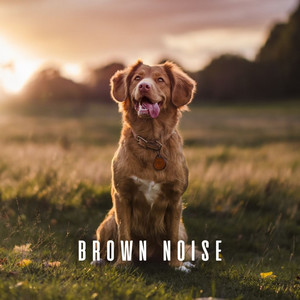 Spirited Canine Rhythms