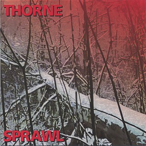 Thorne - Black Lace Shoulder