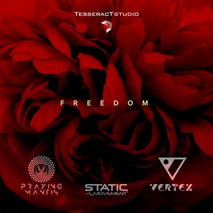 Freedom (Original Mix)