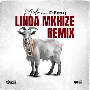 Linda Mkhize (Remix|Explicit)