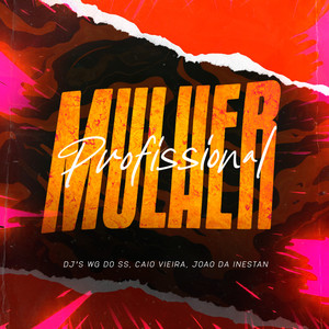 Mulher Profissional