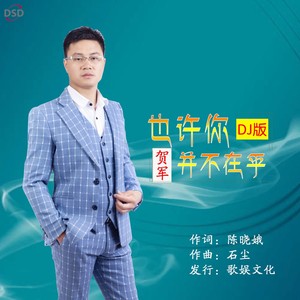 贺军 - 也许你并不在乎 (DJ版伴奏)