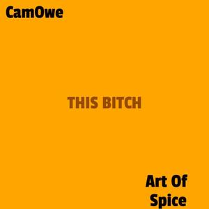 This ***** (Explicit)