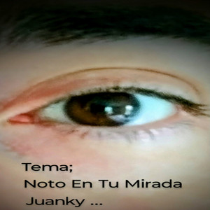 Noto En Tu Mirada