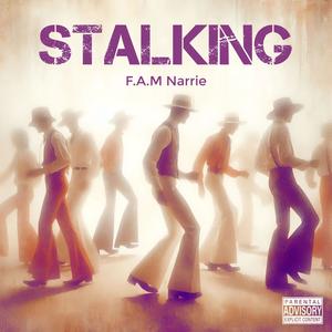 Stalking (Explicit)