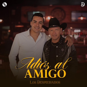 Adiós Al Amigo