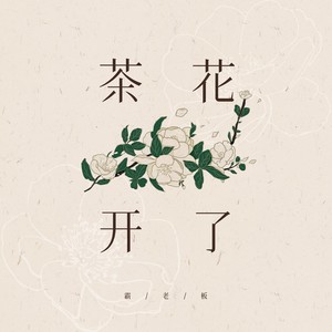 茶花开了-霸老板