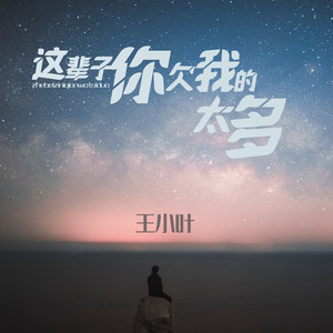 王小叶《这辈子你欠我的太多》[MP3_LRC]_MP3免费下载
