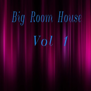 Big Room House, Vol. 1