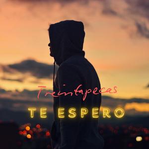 Te Espero (feat. Entredimensiones)