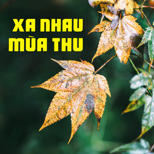 Xa Nhau Mùa Thu (Instrumental)