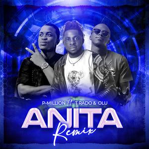 Anita (feat. T Rado & Olu) [Remix]