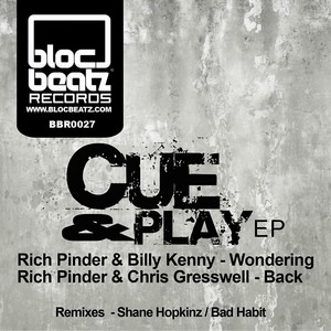 Wondering (Shane Hopkinz Remix)