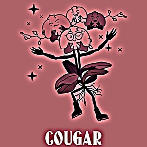 Cougar