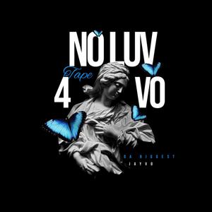 No Luv 4 Vo