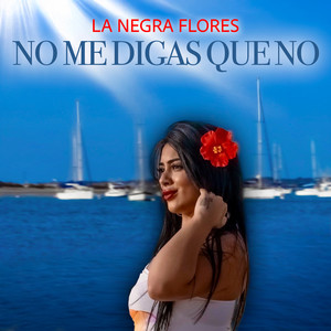 No Me Digas Que No