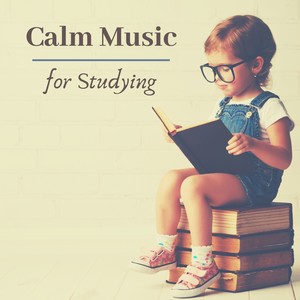 Calm Music for Studying - Instrumental Piano Music