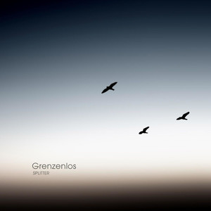 Splitter - Kalter Regen