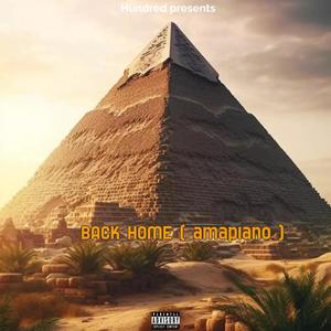 Back Home (amapiano) (feat. Bowoto, Fain, Sha Sha, Madumane, Chief 187, T DOLLAR, Davolee & Damo K)