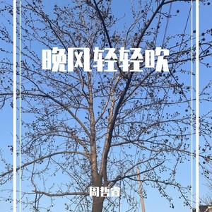 晚风轻轻吹封面
