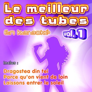 Le meilleur des tubes en karaoké (Vol. 1)