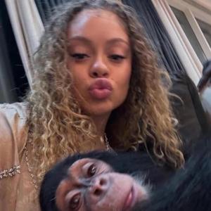 lay in or layup (Explicit)