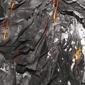 Fuego(feat. Ignacio de los Campos)