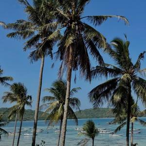 SOS Jxeru - Emotional Tragedy (Explicit)