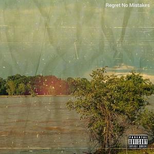 Regret No Mistakes (Explicit)