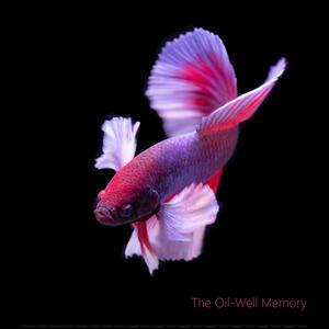 The Oil-Well Memory