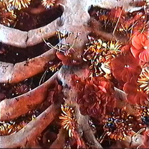 para de chorar (Explicit)