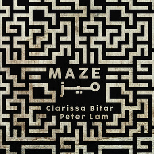 The Maze