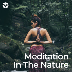 Meditation in the Nature