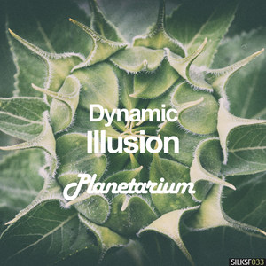 Dynamic Illusion - Stardust