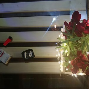 HanFia-Fantasme (Lil.9zhou / 紅社 remix)