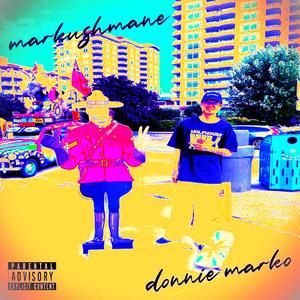 driving through the night (feat. bleezy poe) (Explicit)