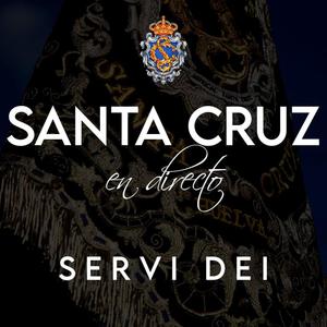 Servi Dei - En directo