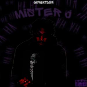 Mister J (Explicit)