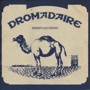 Dromadaire (Dictat III) (Explicit)