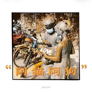 阿猫阿狗封面