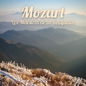Sonata para Piano No. 16 en Do Mayor, KV 545: II Andante