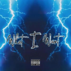 What I Want (feat. Brixkz) [Explicit]