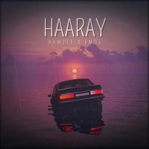 Haaray (feat. Hamzee)